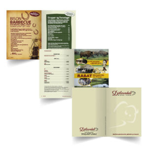 Design og rentegning af Brochure